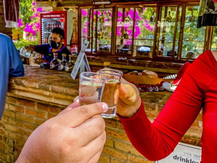 Mazatlán: Tequila Factory & Country Sightseeing - Activity Details