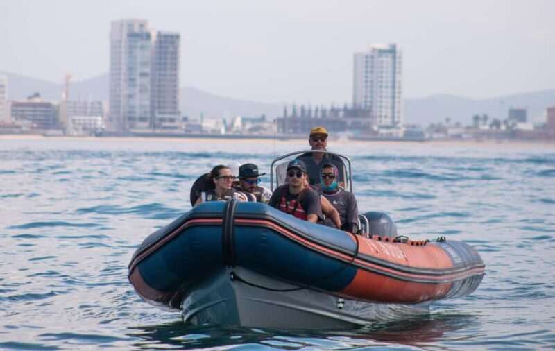 Mazatlán: Whale-Watching Boat Tour with Marine Experts - Why This Tour Works Well
