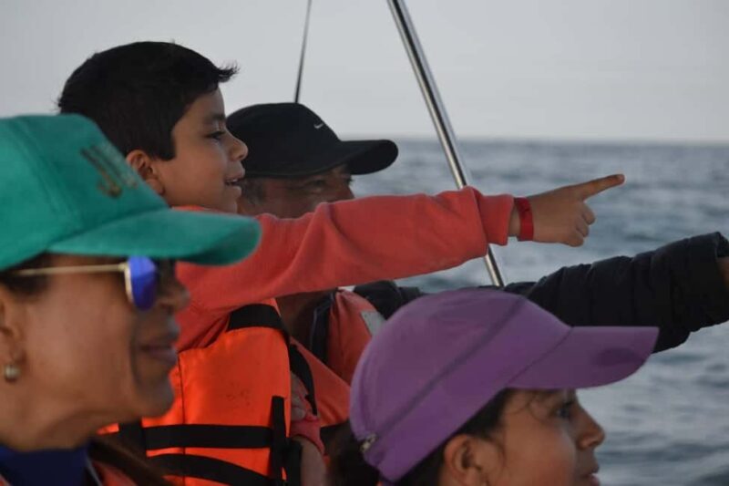 Mazatlán: Whale-Watching Boat Tour with Marine Experts - Final Thoughts: Is This Tour Worth It?
