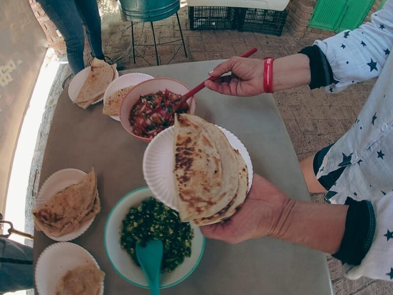 MAZATLAN: ZIP LINE AT HUANACOA, TEQUILA TOUR & TESTING - Transportation and logistics: Keeping it smooth