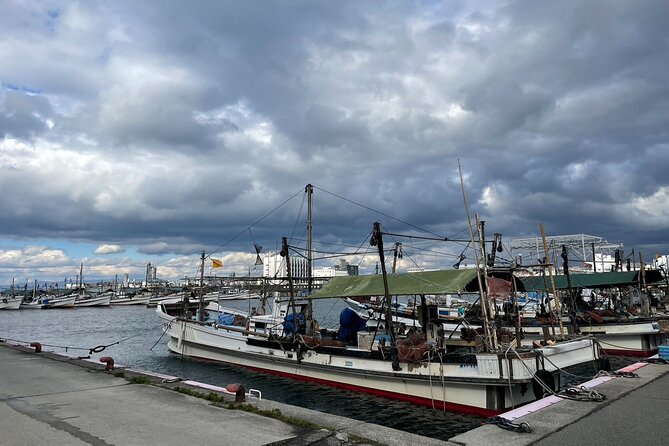 Maze Town Walking and Exploring Fish Market in Izumisano, Osaka - Duration and Pricing
