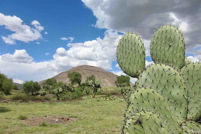 Mazunte Private Beach Horseback Ride - Mexico City - Cancellation Policy and Weather Considerations