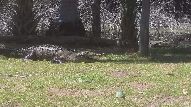 Mazunte-Ventanilla and Zipolite Ecotour - Introduction