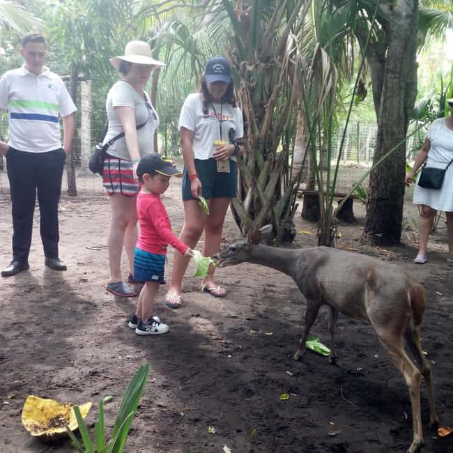 Mazunte-Ventanilla and Zipolite Ecotour - Good To Know