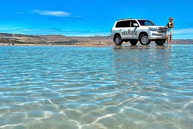 Mclaren Vale 4x4 Premium Food and Wine Tour With Private Lunch - Contact Information