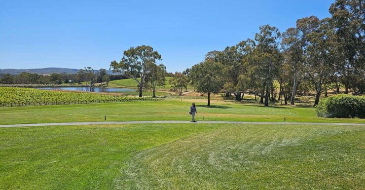 McLaren Vale and Historic Hahndorf Wine Tour - Tour Details