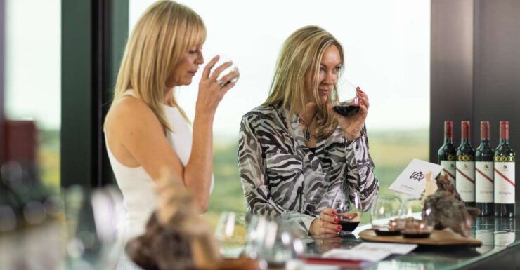 Mclaren Vale: Dead Arm Shiraz Wine Tasting at D'arenberg - McLaren Vale Wine Region Overview