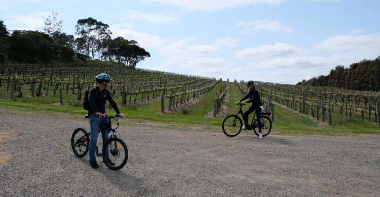 McLaren Vale: E-Bike Rental to Explore the Vineyards - Activity Details