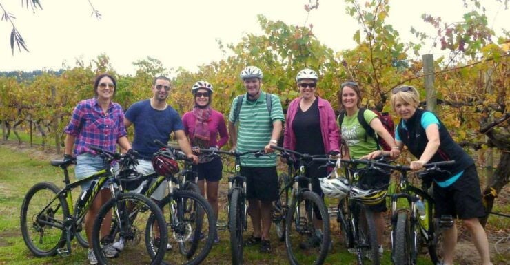 Mclaren Vale Hills Vines and Wines Bike Tour From Adelaide - Booking and Flexibility