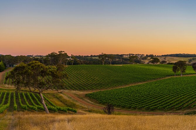 McLaren Vale & Historic Hahndorf Wine Tour - McLaren Vale Wineries