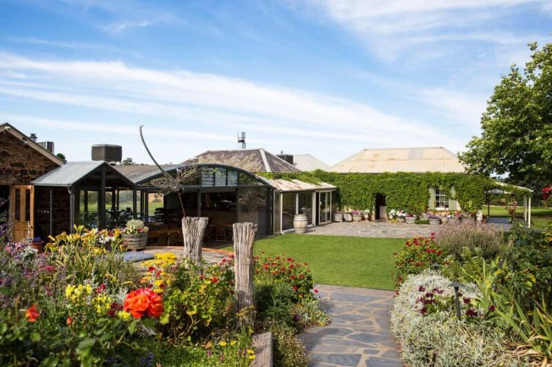 McLaren Vale North: Hop-On Hop-Off Tour - The Sum Up