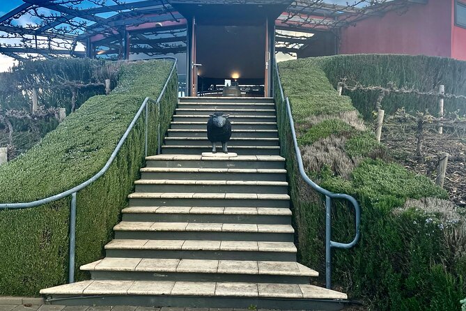 McLaren Vale Private Group Tour - Tour Experience