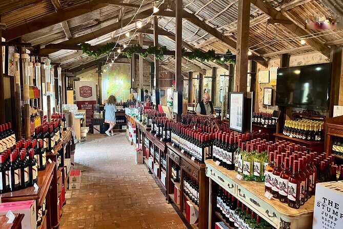 McLaren Vale Private Tour inc Premium Lunch & d'Arenberg Cube - Good To Know