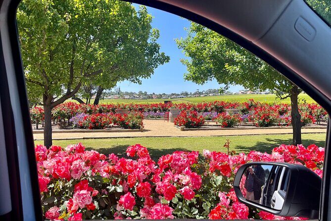 McLaren Vale Private Tour inc Premium Lunch & d'Arenberg Cube - Frequently Asked Questions