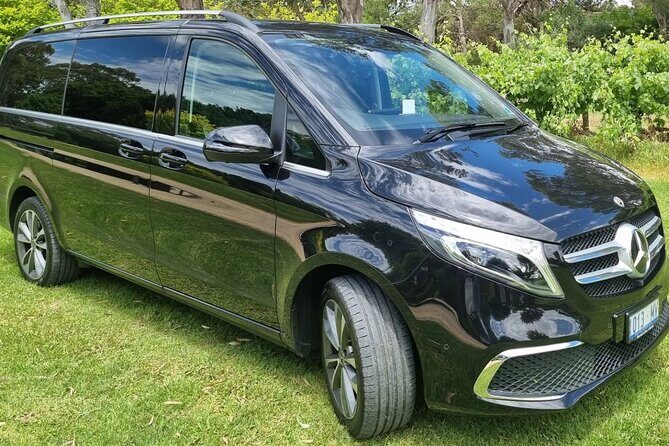 McLaren Vale Small Shared Tour with Wine Tasting and Lunch - Good To Know