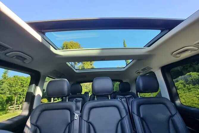 McLaren Vale Small Shared Tour with Wine Tasting and Lunch - Detailed Breakdown of the Itinerary