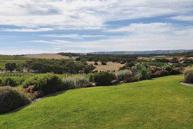 McLaren Vale Small Shared Tour with Wine Tasting and Lunch - Practical Tips for Future Travelers