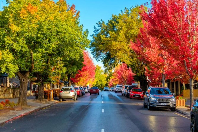 Mclaren Vale Wine Region via Hahndorf Full-Day Tour From Adelaide - Tips for a Memorable Experience