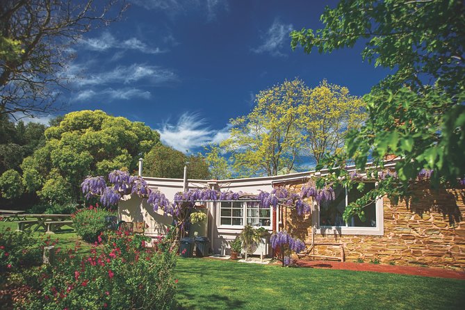 Mclaren Vale Winery Small Group Tour With Wine Tasting and Lunch - Pricing and Assistance