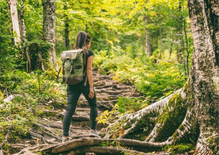 Mcleodganj Nature Trek (3 Hours Guided Walking Tour) - Highlights