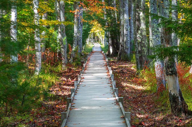 MDI Private Discovery Tour - Explore Beyond Acadia (five hours) - Breaking Down the Experience