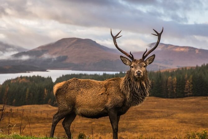 Meandering Through the Highlands of Scotland (North) - Thrilling Outdoor Adventures