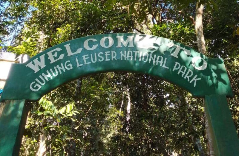 Medan: Bukit Lawang & Berastagi 5-Day Adventure Tour - Good To Know