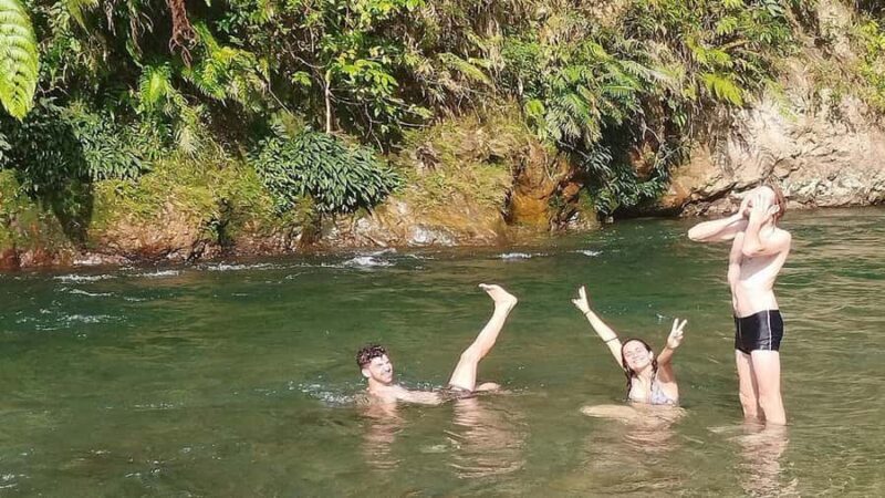 Medan: Bukit Lawang Orangutan Tour - Exploring the Bukit Lawang Orangutan Tour: An Authentic Wildlife Adventure in Medan