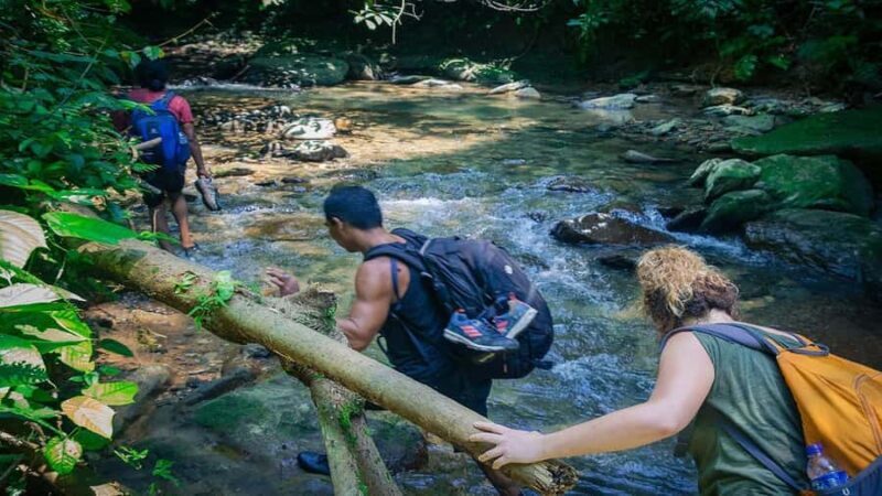 Medan: Bukit Lawang Orangutan Tour - The Value of the Bukit Lawang Orangutan Tour