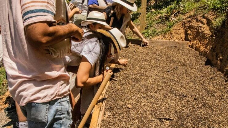 Medellin: Agro Tour Live a Magical and Didactic Experience - Good To Know