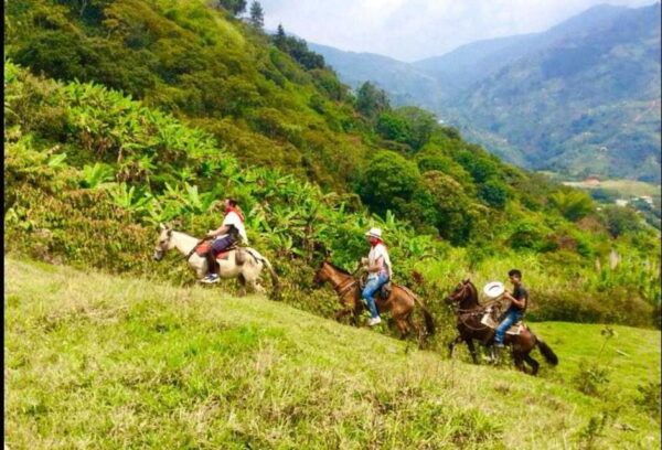 Medellín: Authentic Colombian Horseback Ride - Frequently Asked Questions