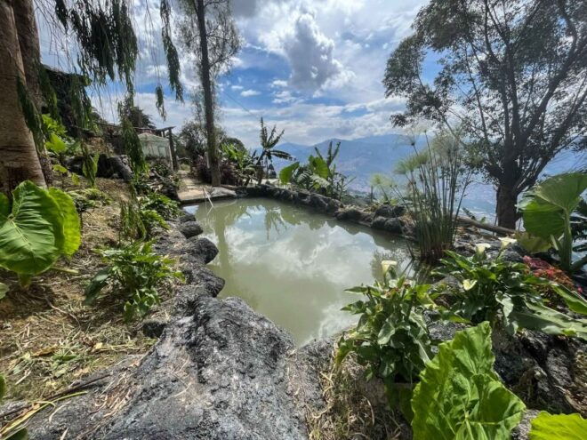 Medellin Birding Arví Forest Cabin - Safety Guidelines