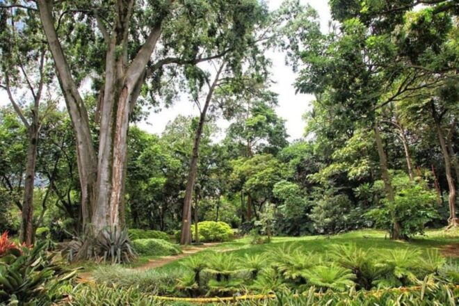 Medellín: Botanical Gardens Half-Day Tour - Additional Information