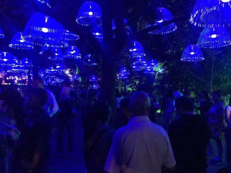 Medellin Christmas Lights Tour - Good To Know