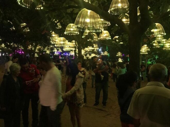 Medellin Christmas Lights Tour - Service Inclusions
