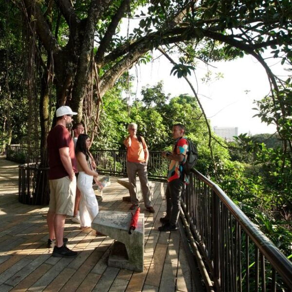 Medellín City Tour by 8 Hours (Transportation Guide) - Seamless Tour Execution