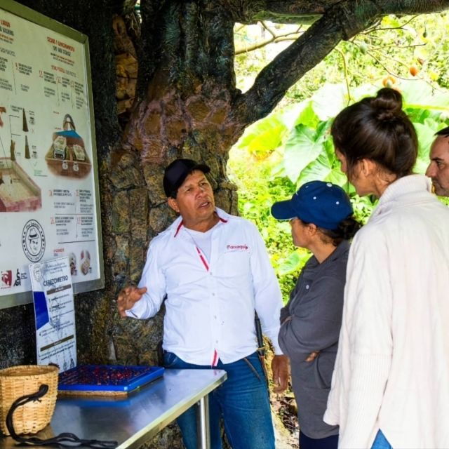 Medellin: Coffee Farm and Barista Workshop Experience - Activity Details
