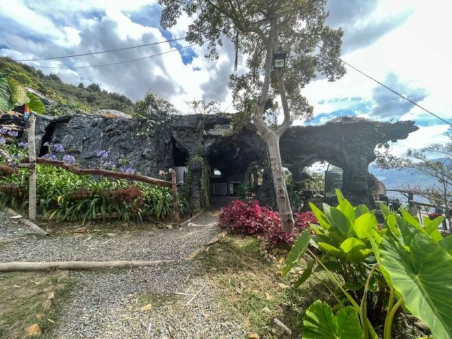 Medellin: Coffee Farm and Barista Workshop Experience - Participant Reviews