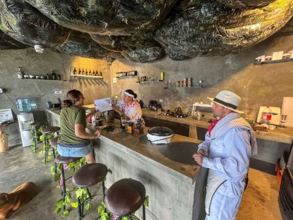Medellin: Coffee Farm and Barista Workshop Experience - Practical Information for Participants