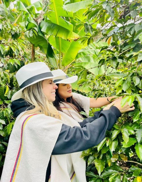 Medellín Coffee Farm Tour With Trolley and Cable Car Ride - Booking Information