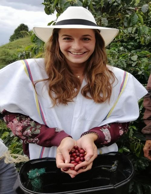 Medellín Coffee Farm Tour With Trolley and Cable Car Ride - Experience Details