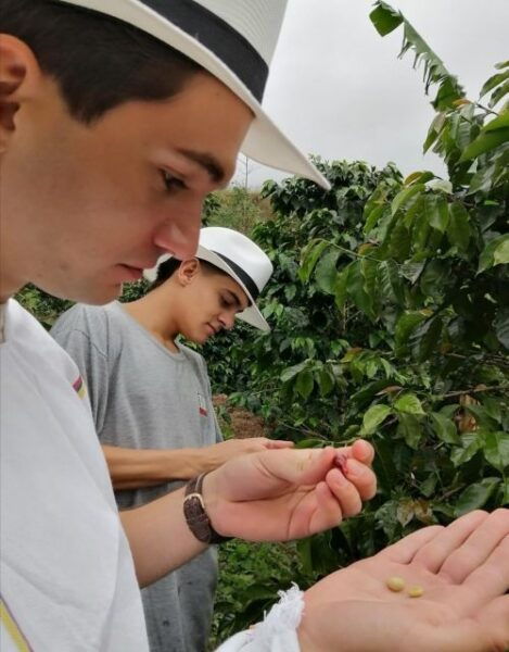 Medellín Coffee Farm Tour With Trolley and Cable Car Ride - Frequently Asked Questions