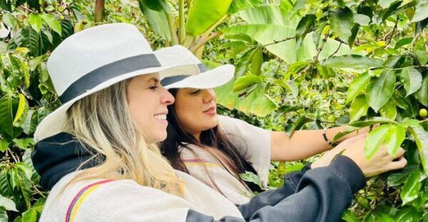 Medellín Coffee Farm Tour With Trolley and Cable Car Ride - The Sum Up