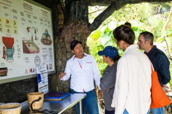 Medellin: Coffee Tour and Wellness Spa - Wellness Spa Experience