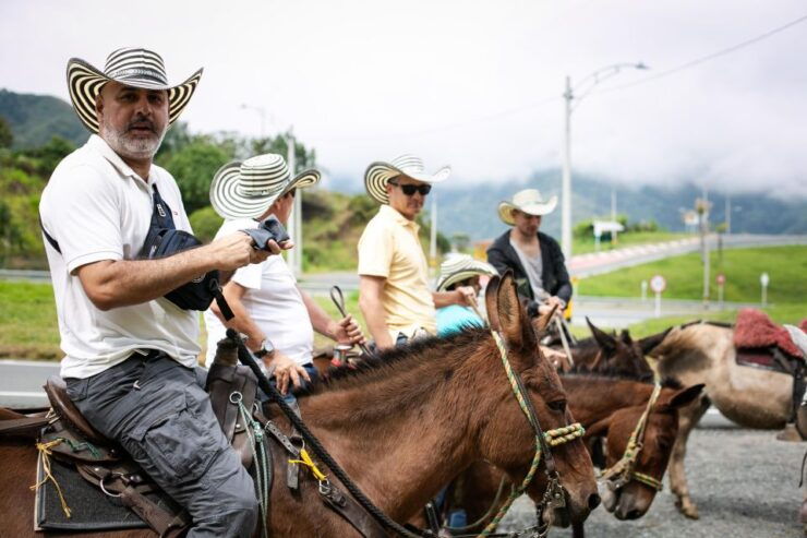 Medellin: Coffee Tour, Horseback Arrival, and Sugar Cane - Inclusions and Exclusions