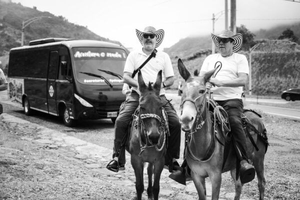 Medellin: Coffee Tour, Horseback Arrival, and Sugar Cane - The Sum Up