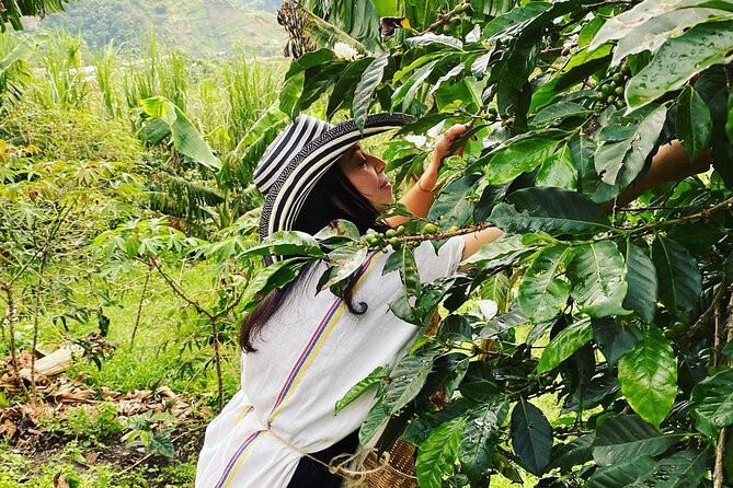 Medellín Coffee Tour: Tastings & Transport Included - Travel Logistics