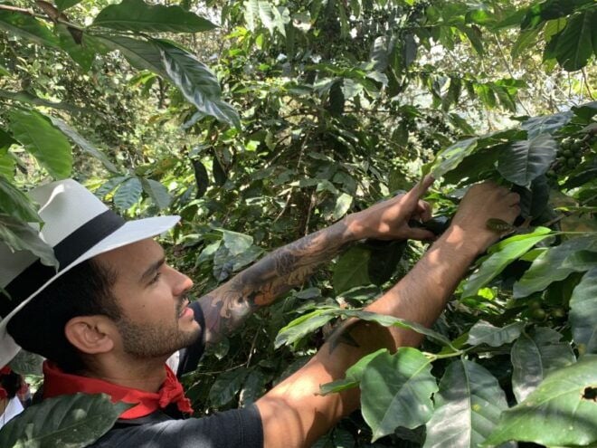 Medellín: Coffee Tour With Tastings and Lunch - Review Summary