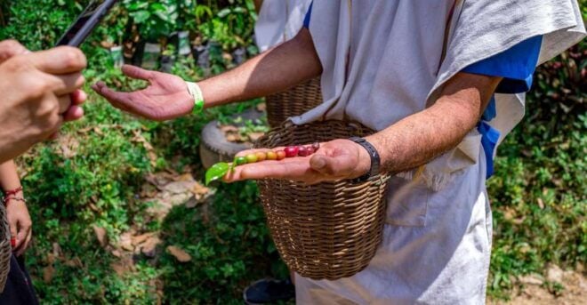 Medellín: Coffee Tour With Tastings and Lunch - Tour Inclusions