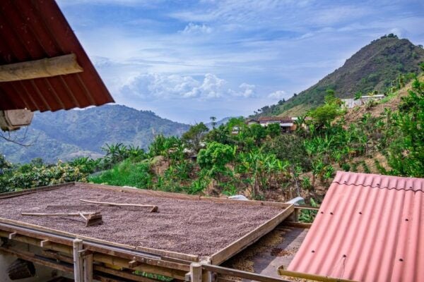 Medellín: Coffee Tour With Tastings and Lunch - Participant Activities